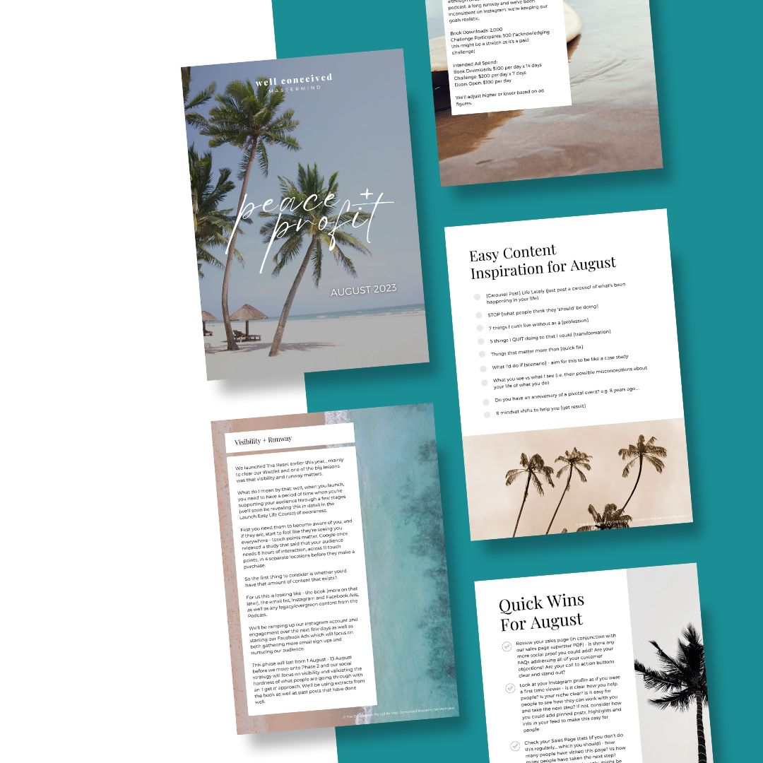 Copy of Health Biz in a Box