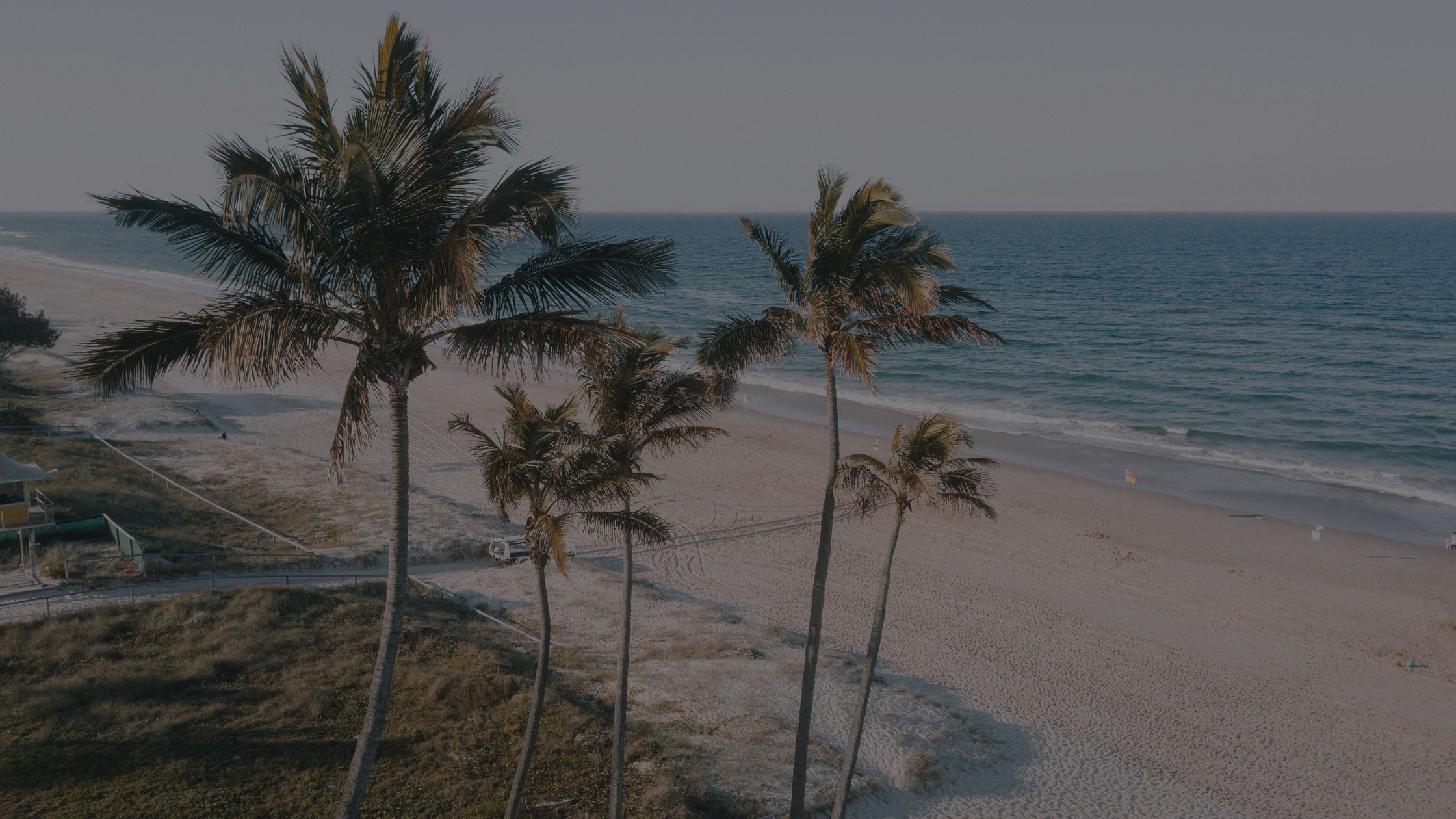 Beach and palm trees representing a calm mindset and intentional $500k revenue strategy
