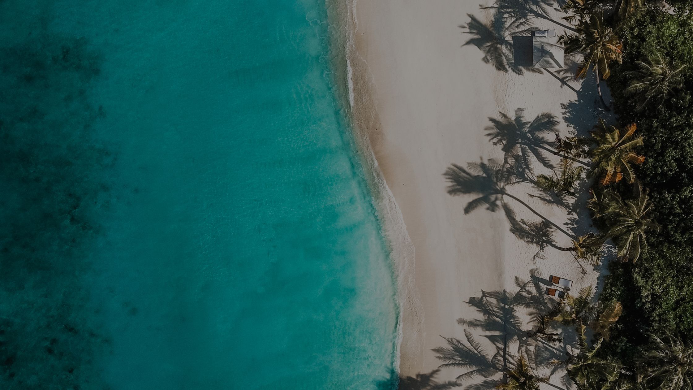 Emma Gentle EQ coach grow signature offer results